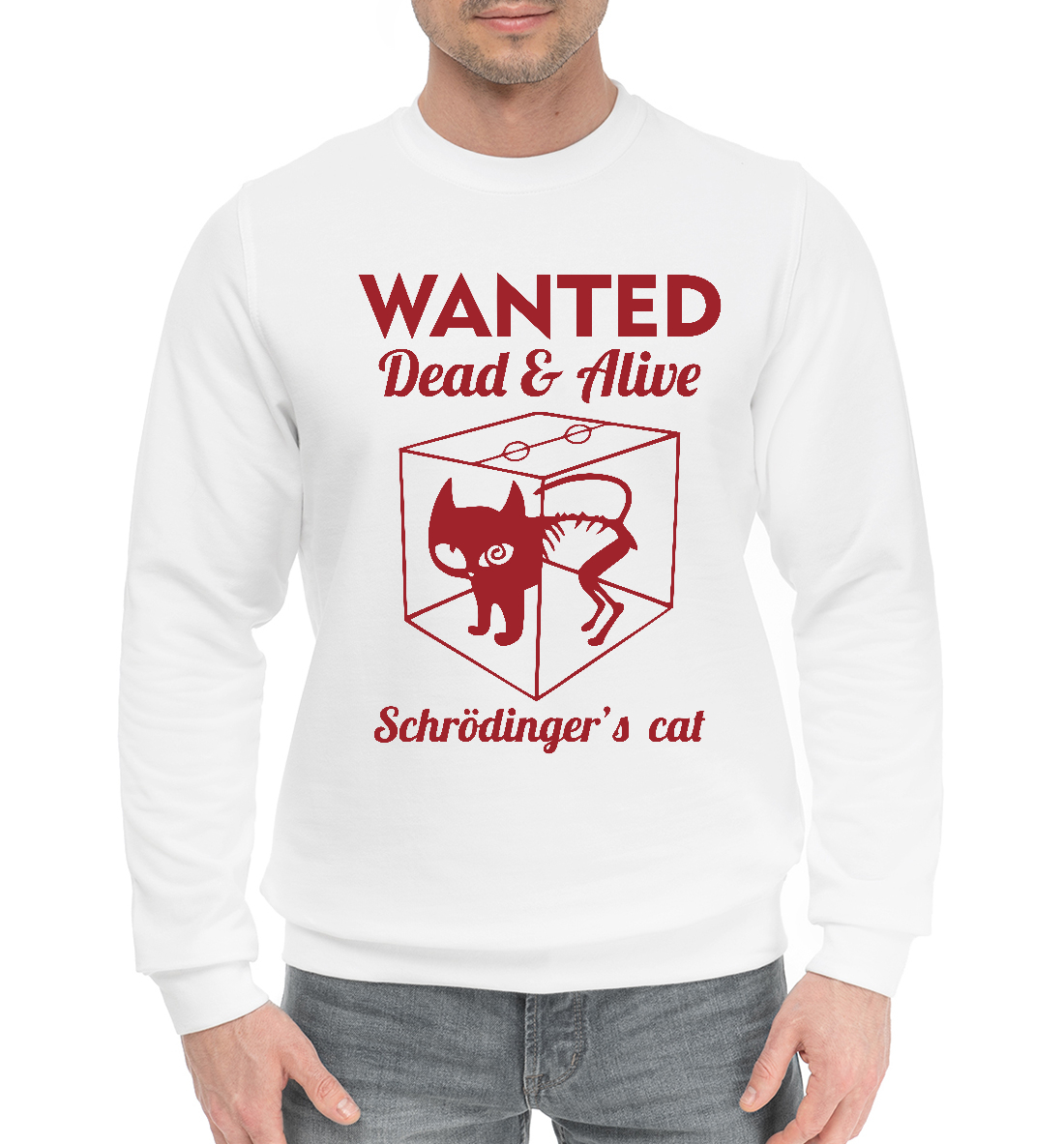 

Wanted Cat