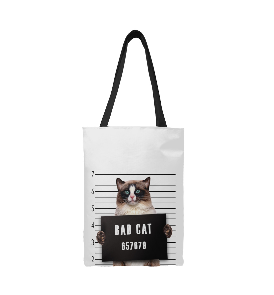 

Bad cat