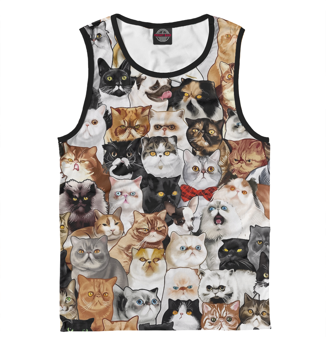 

Коты и Мопс