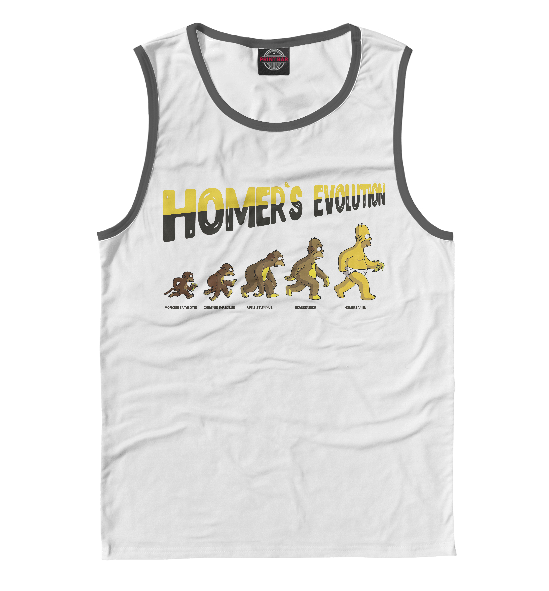 

Эволюция Гомера