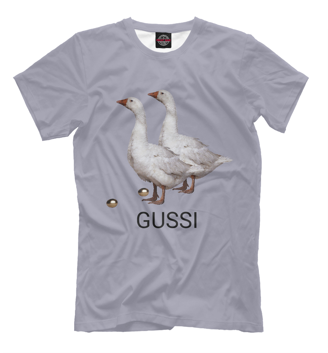 

GUSSI