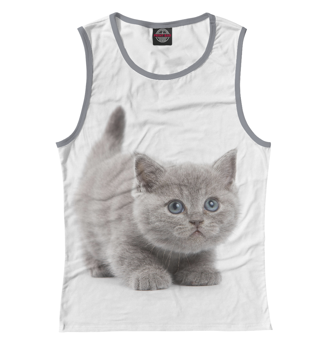 

Котик