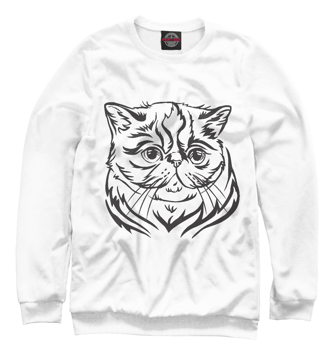 

Экзотическая кошка