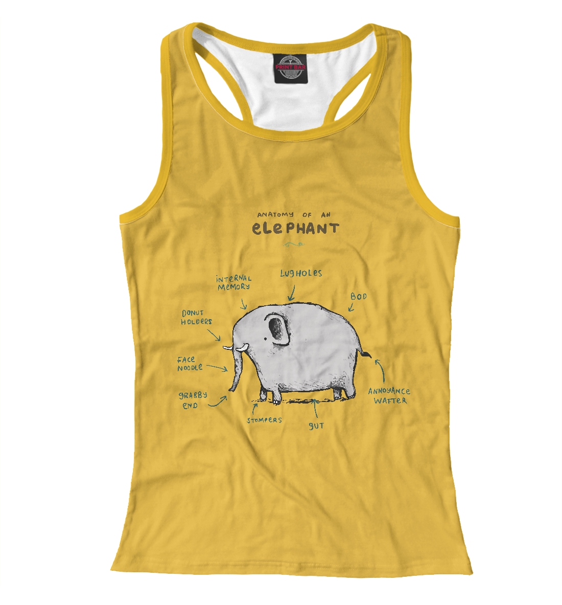 

Анатомия слона