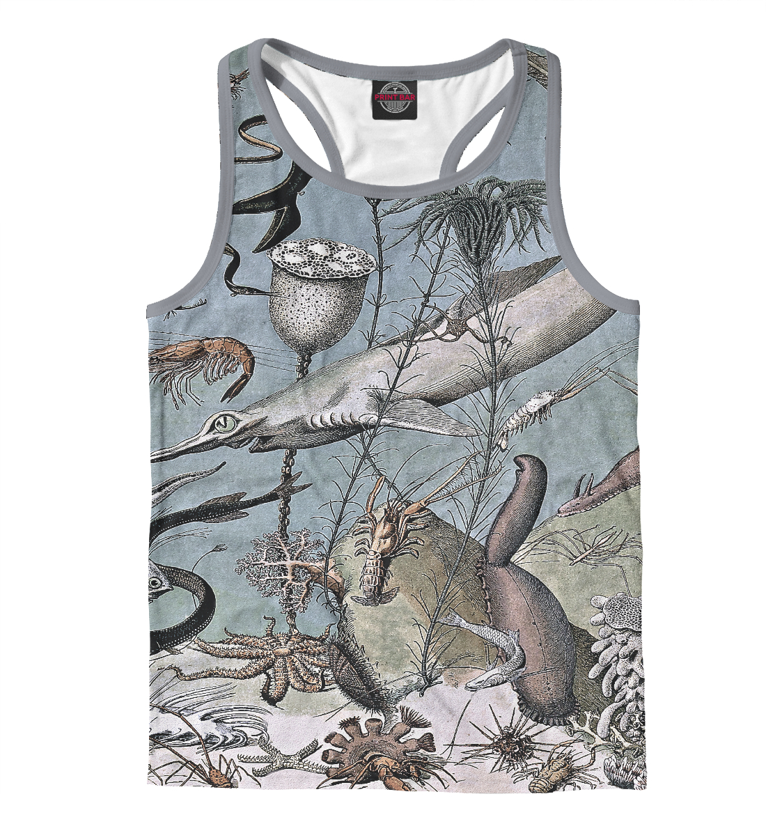 

Океанская флора и фауна