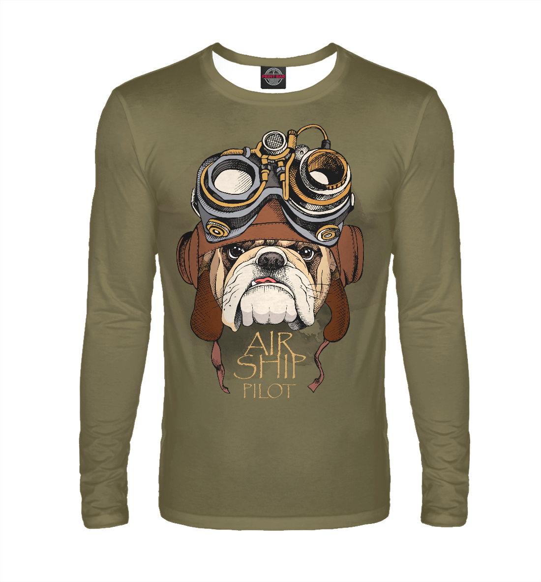 

Air ship pilot