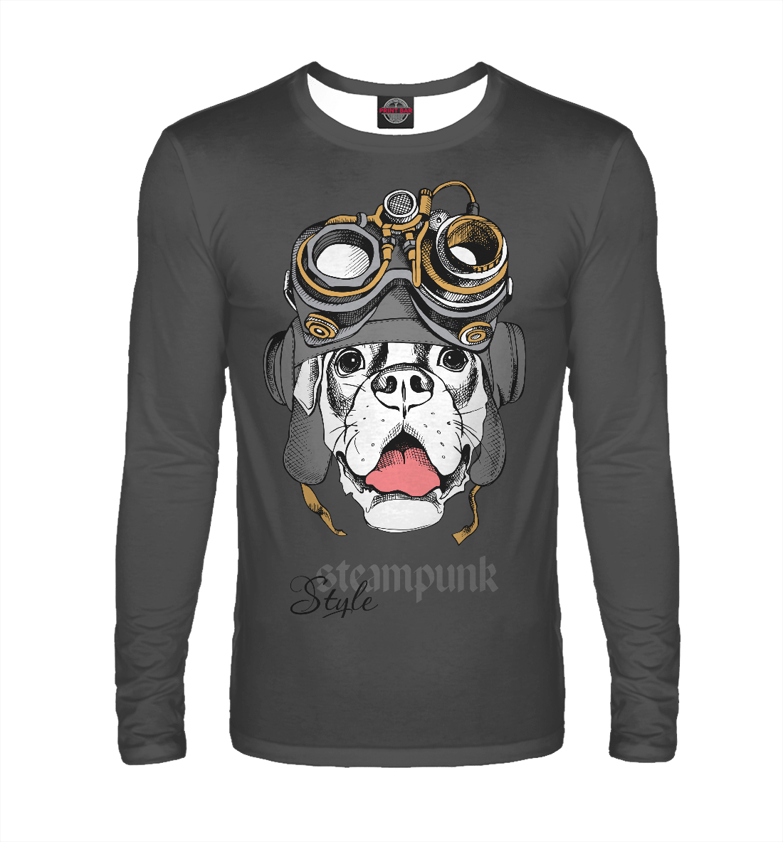 

Steampunk Style