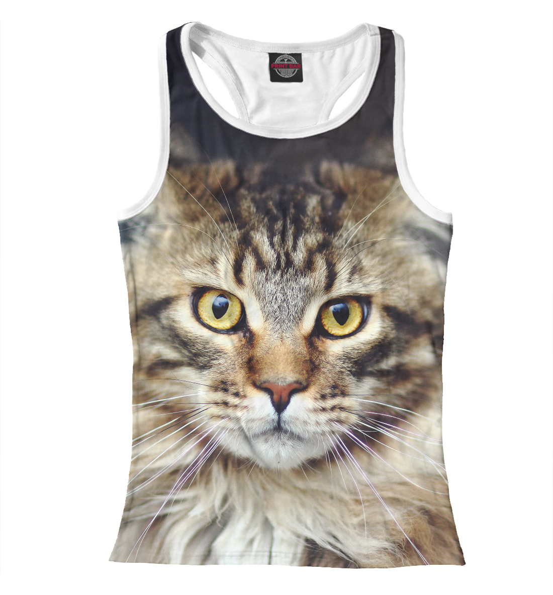 

Пушистый кот