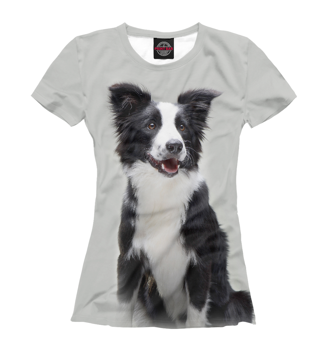 

Бордер - колли