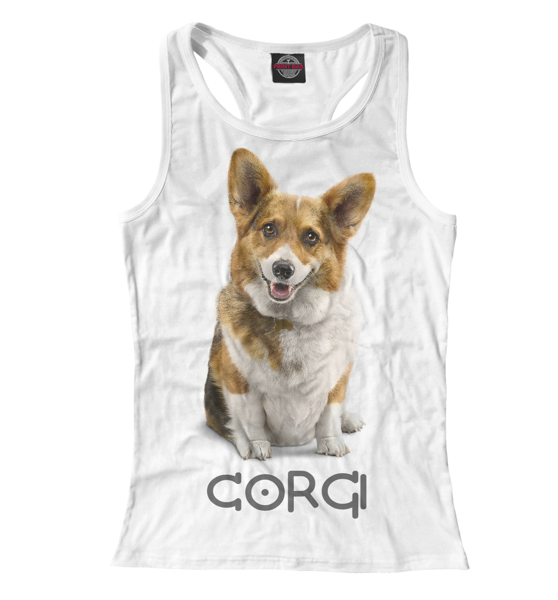 

Corgi Dog