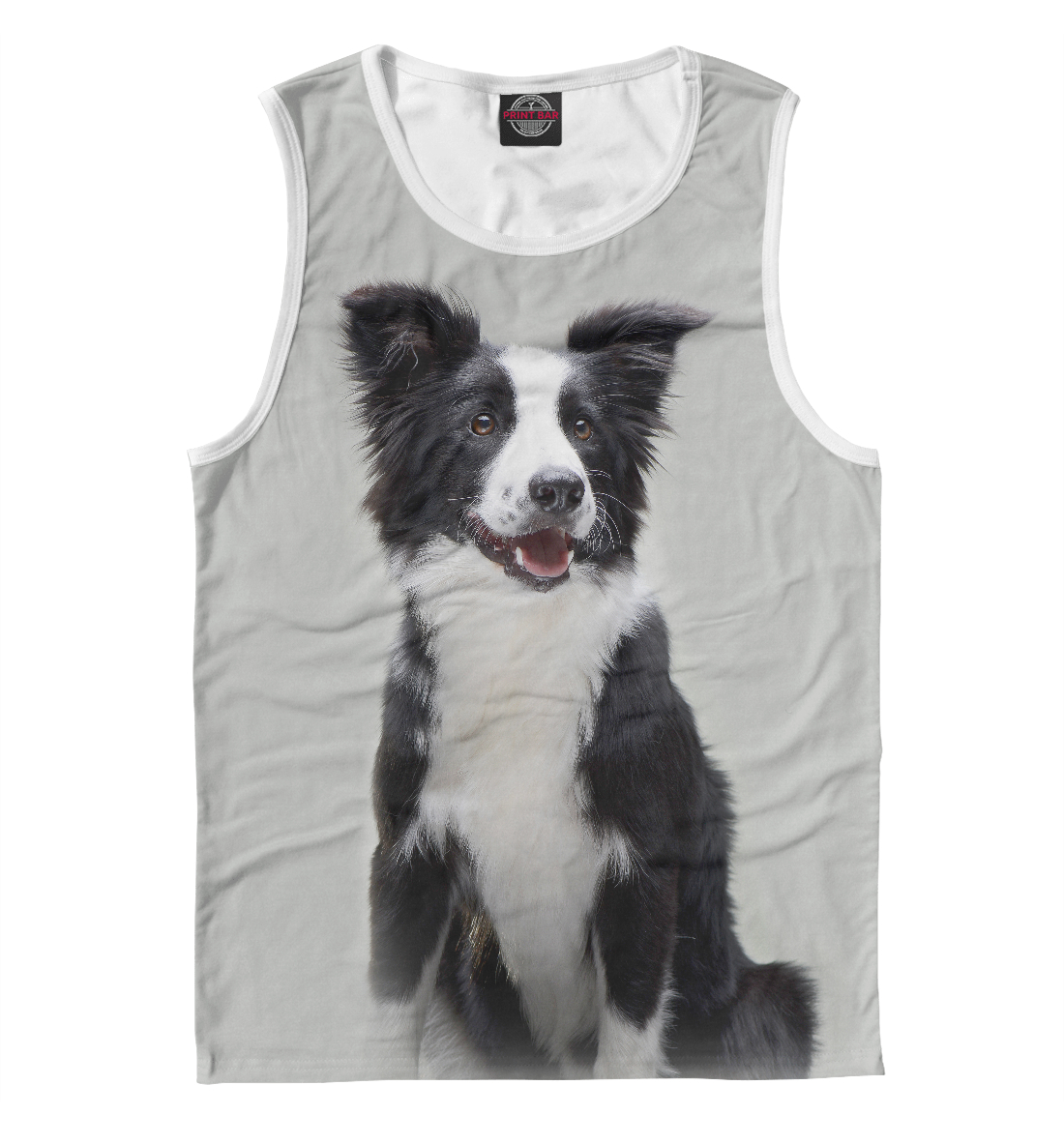 

Бордер - колли