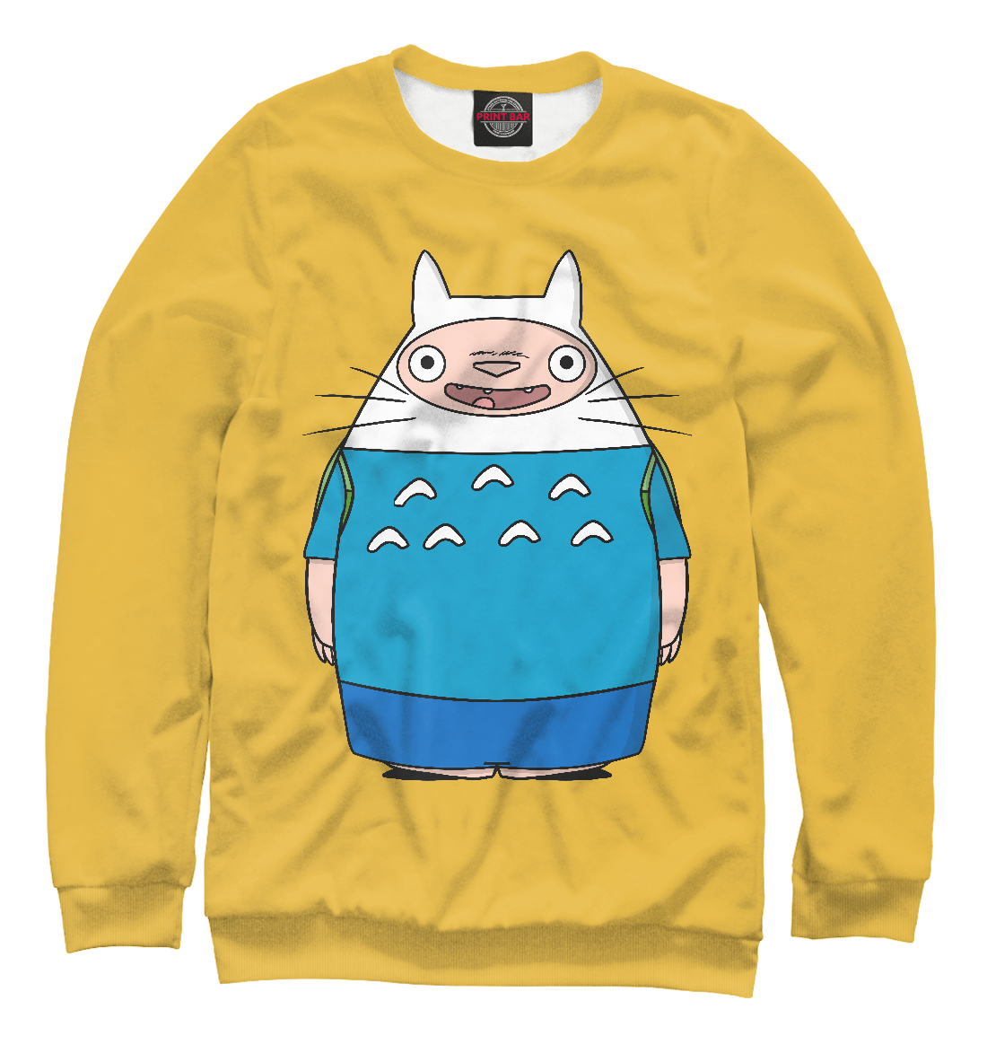

Totoro Finn