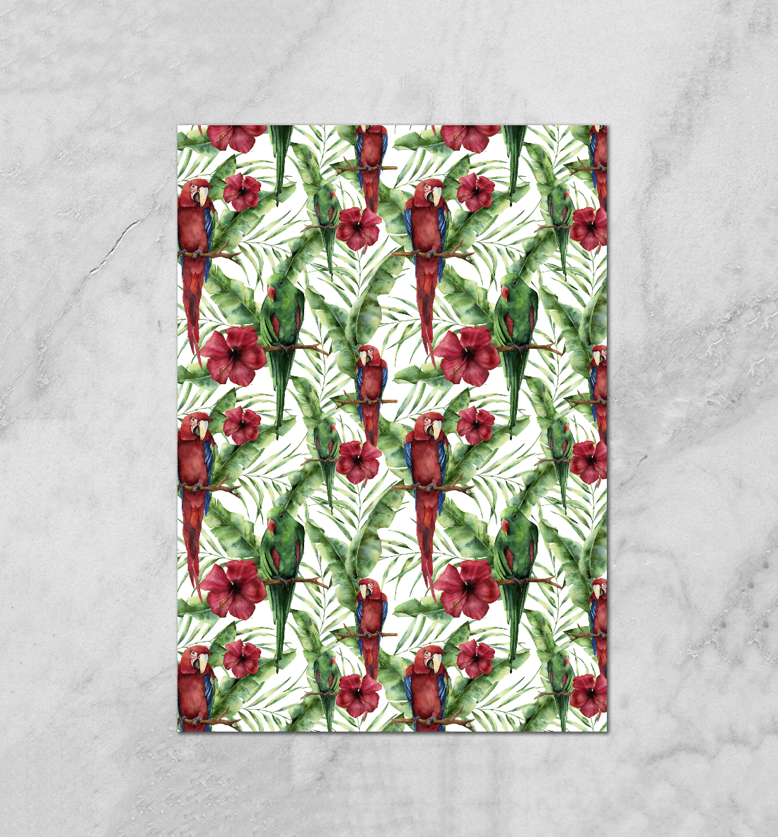 

Попугаи ара