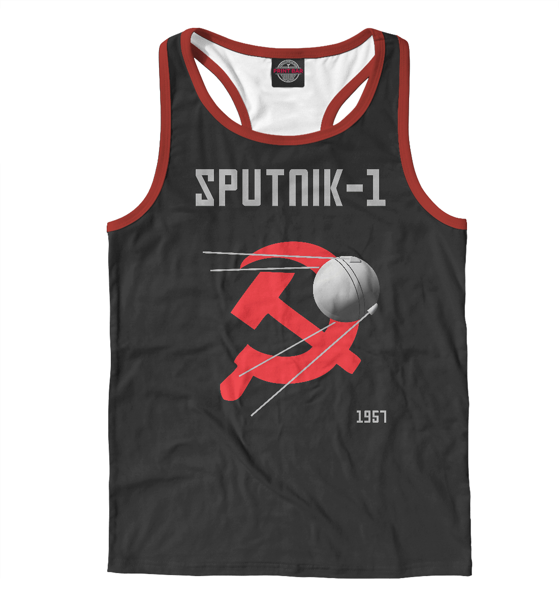

Спутник