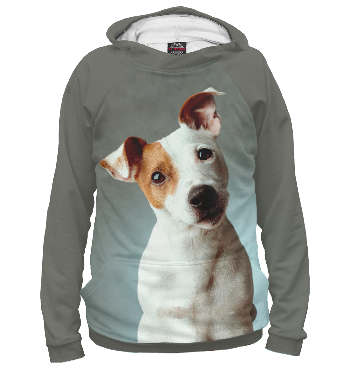 

Jack Russell Terrier