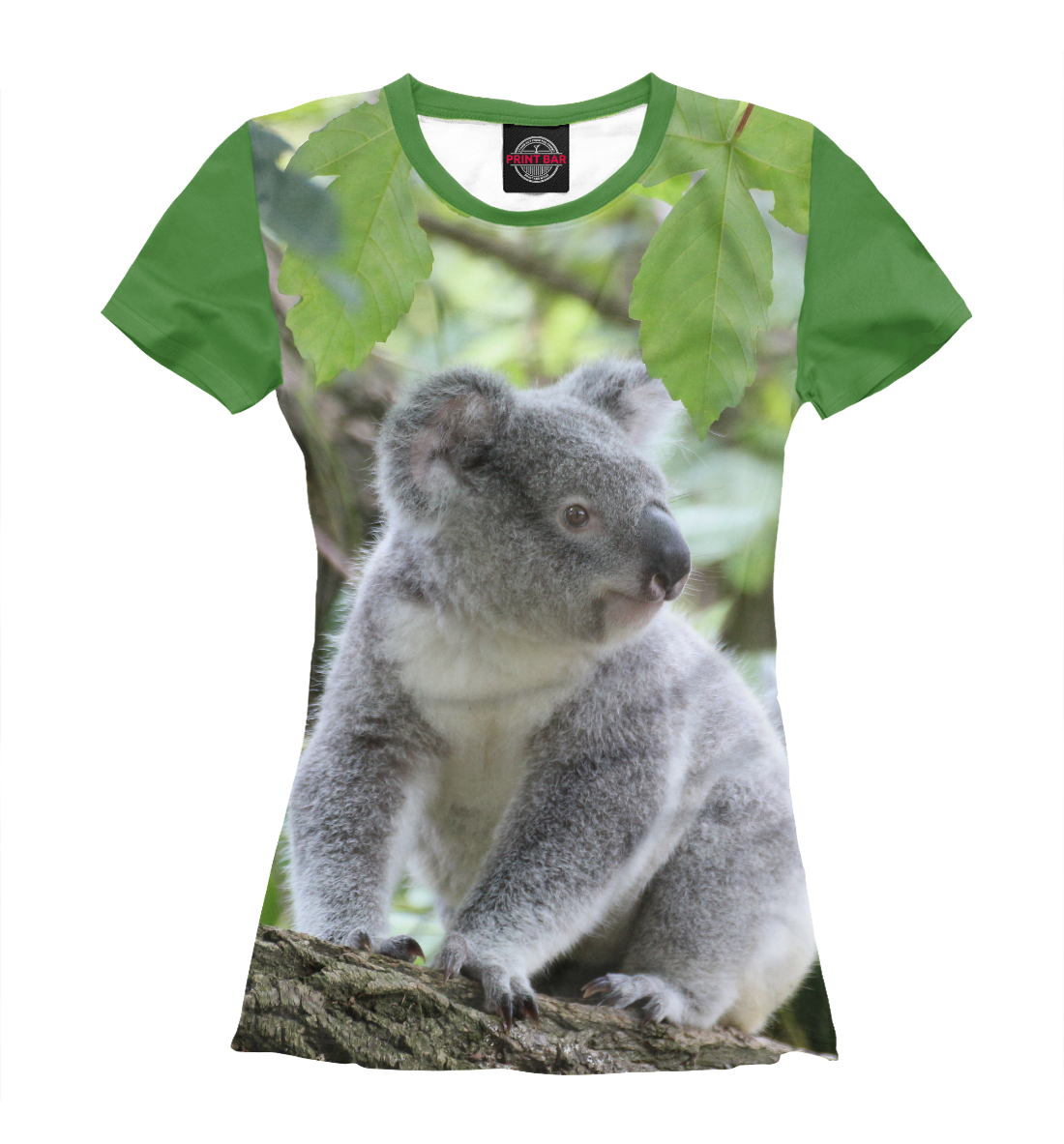 

Коала