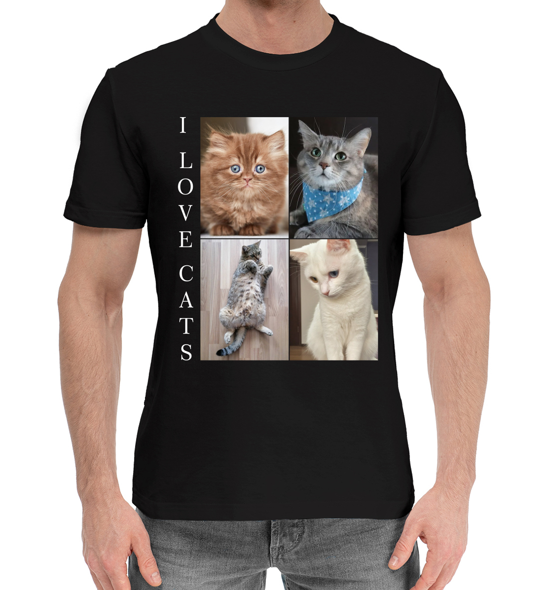

I love cats