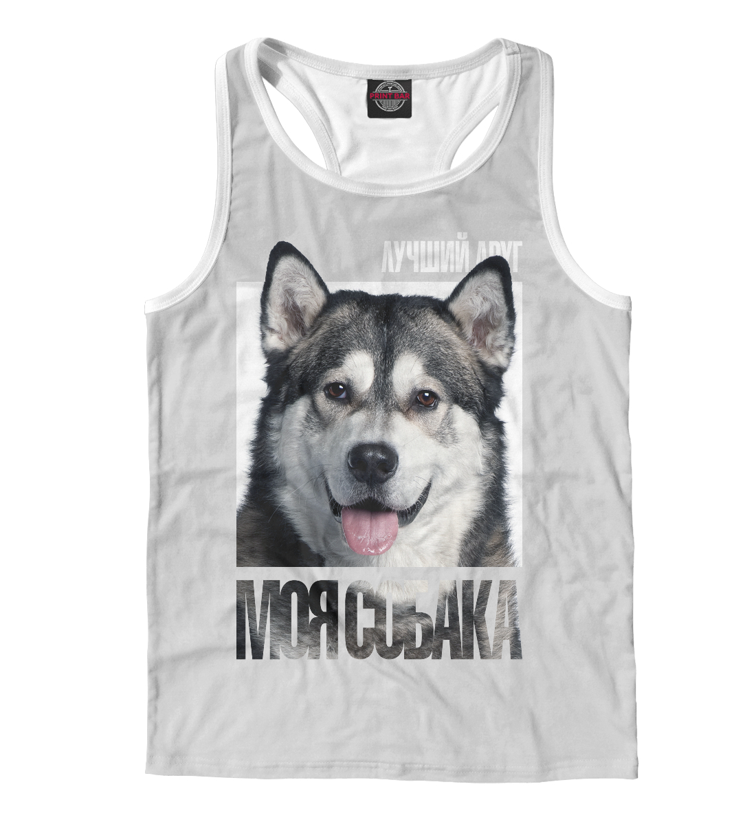 

Аляскинский маламут