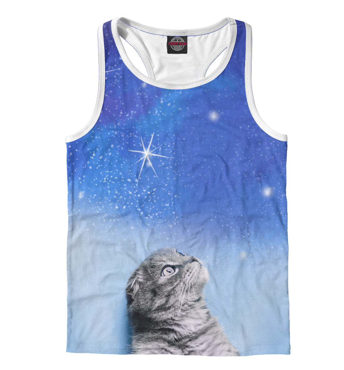 

Кот и космос