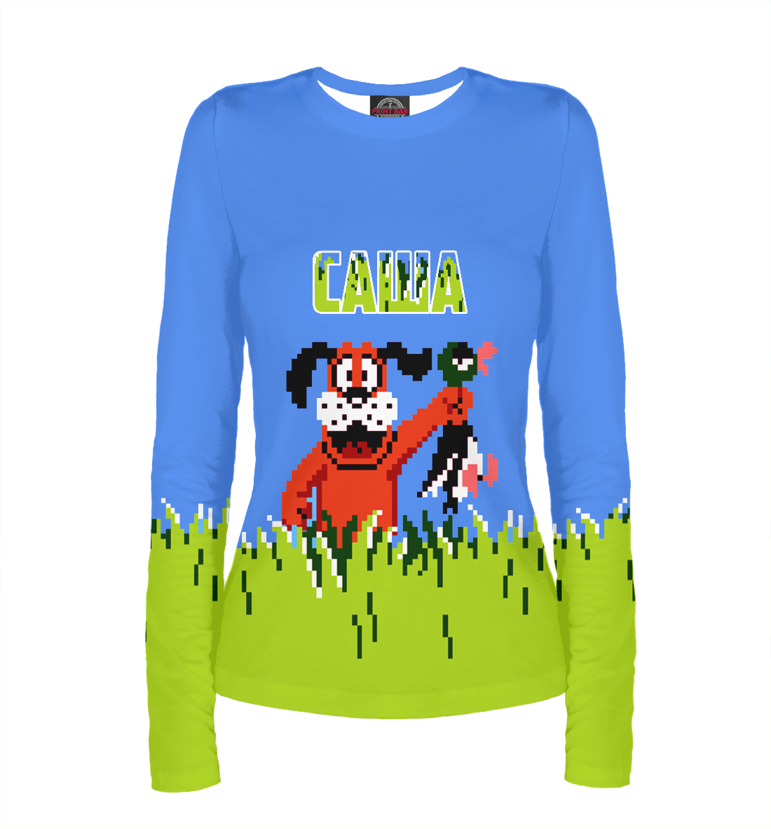 

Саша DUCK HUNT