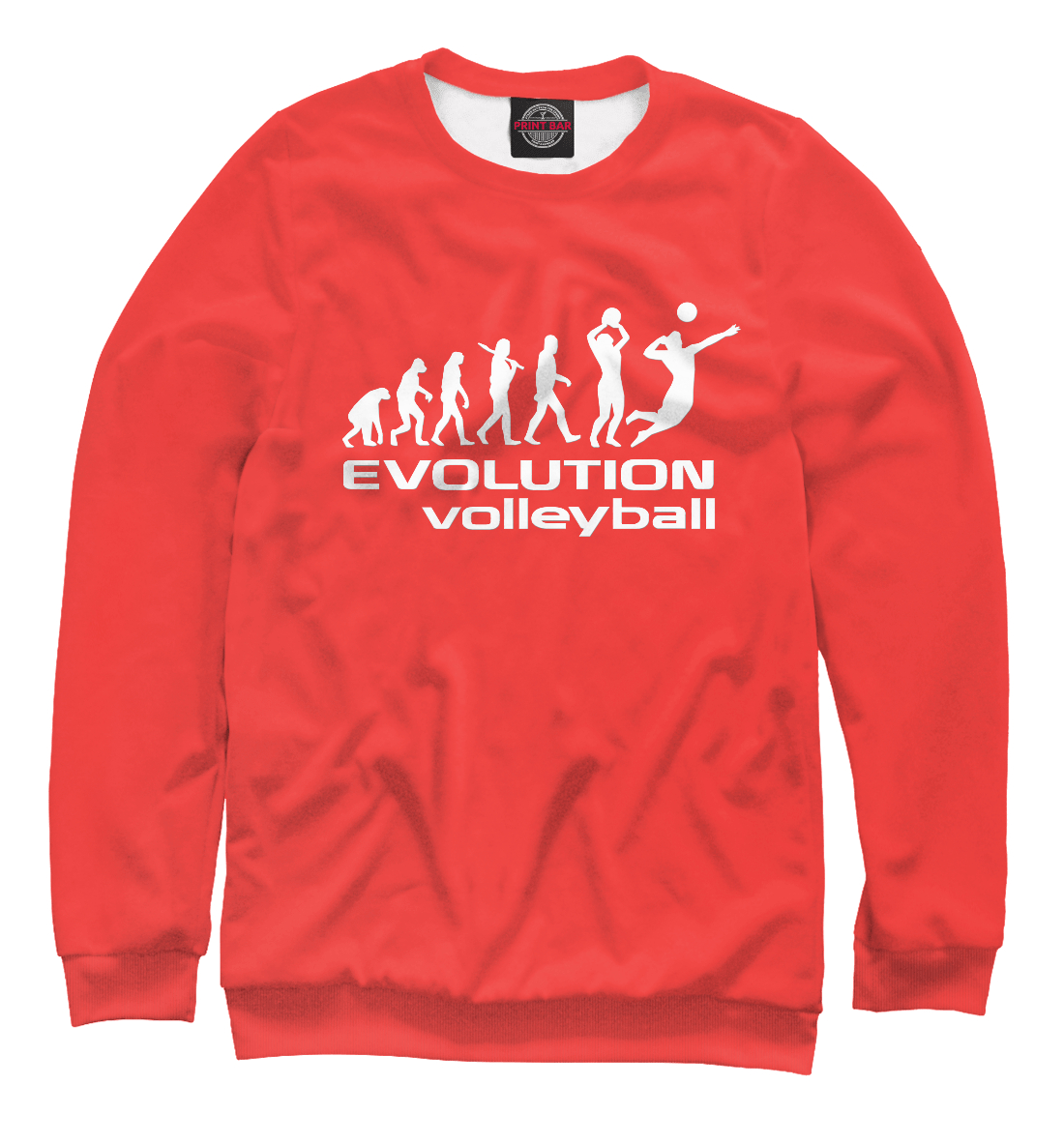 

Evolution (volleyball)