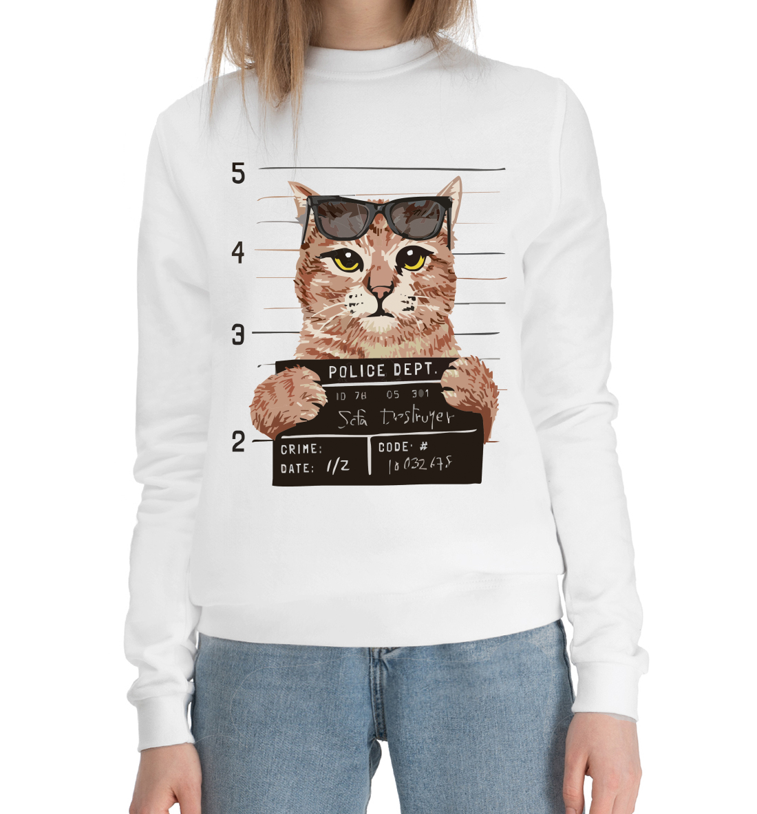 

Кота замели