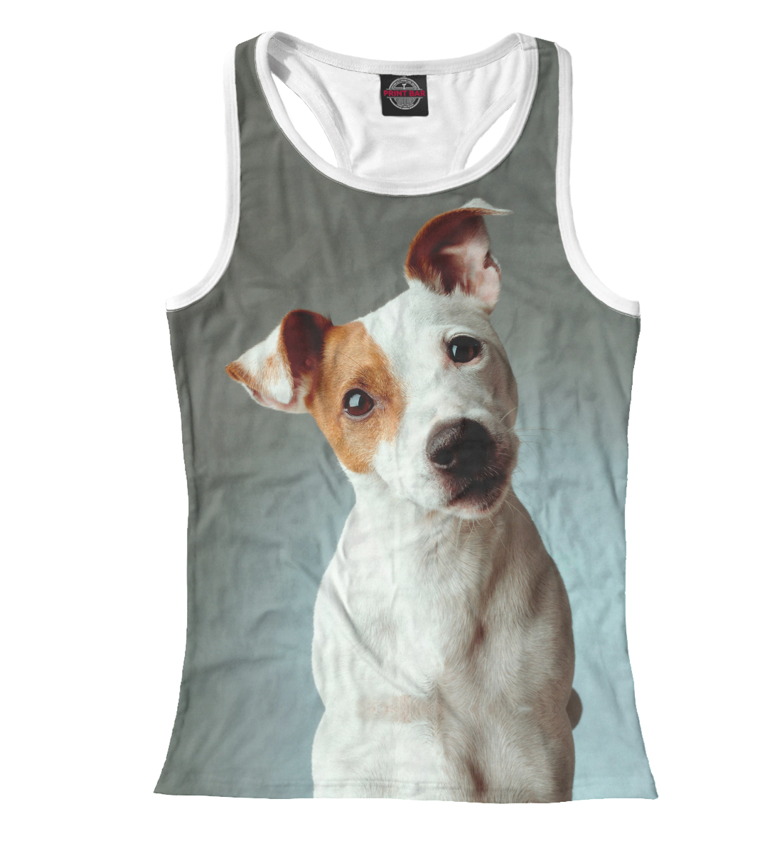 

Jack Russell Terrier