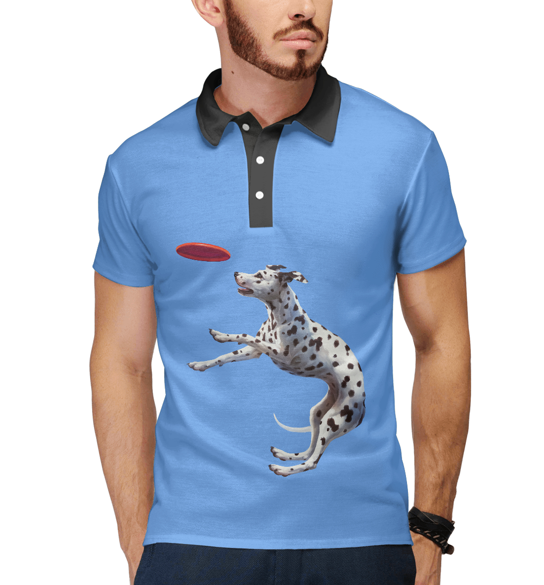 

Dalmatian