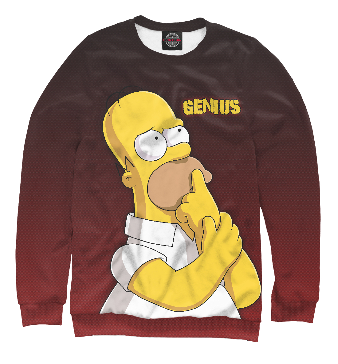 

Homer GENIUS