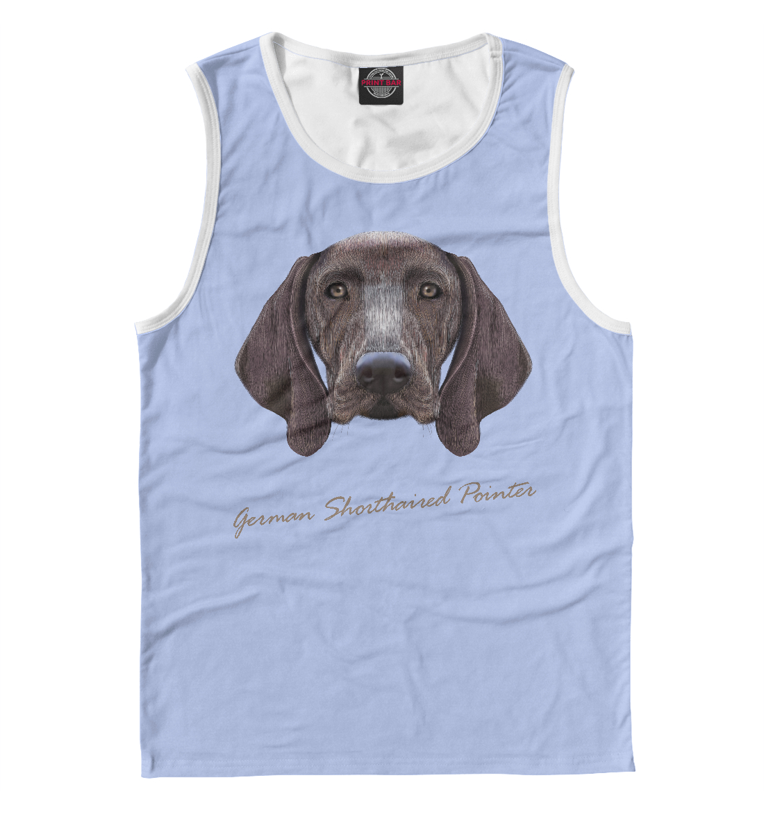 

German shorthaired pointer