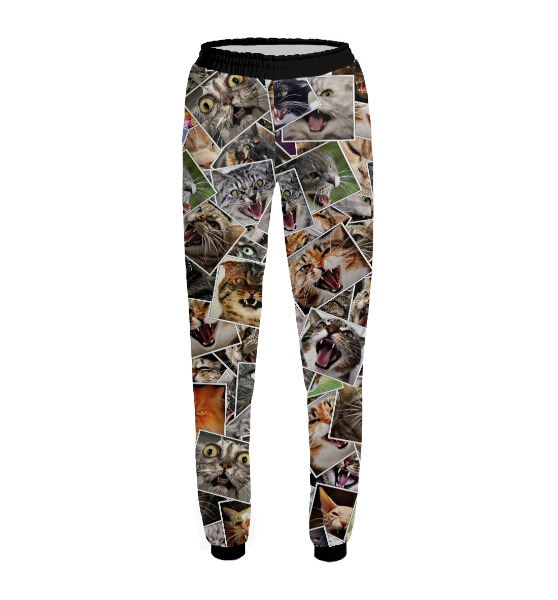 

Агрессивные коты