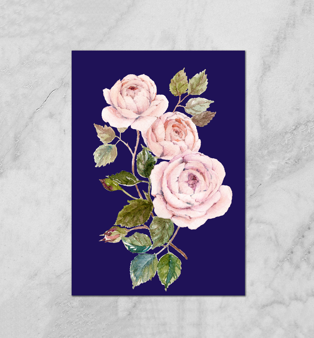 

Roses