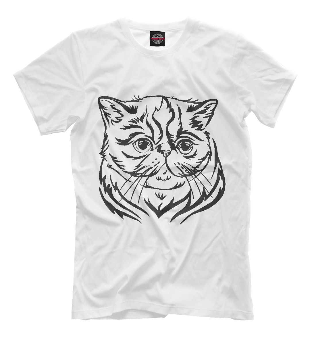 

Экзотическая кошка