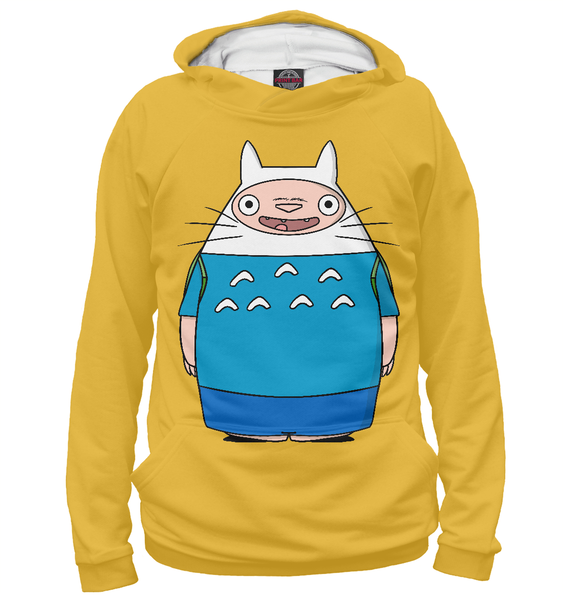 

Totoro Finn