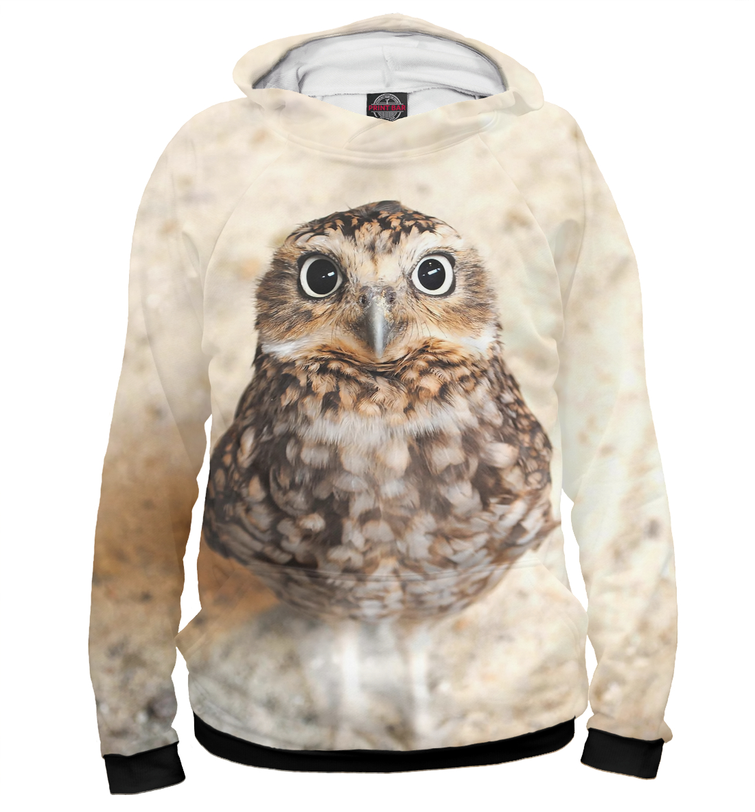 

Owl