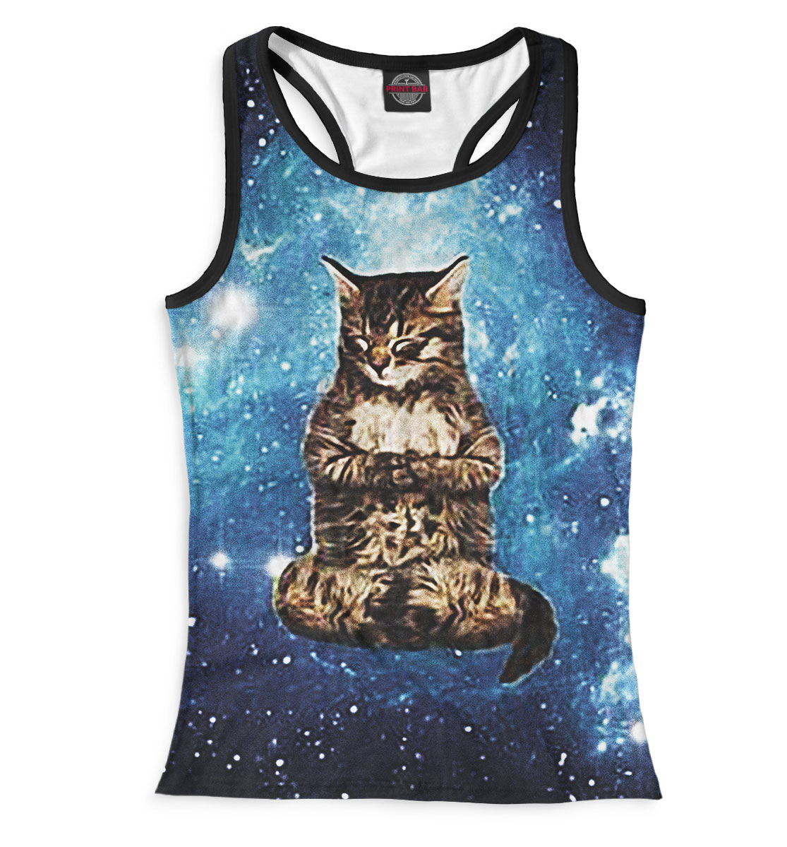 

Кот в космосе