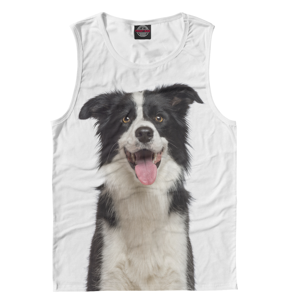 

Бордер - колли