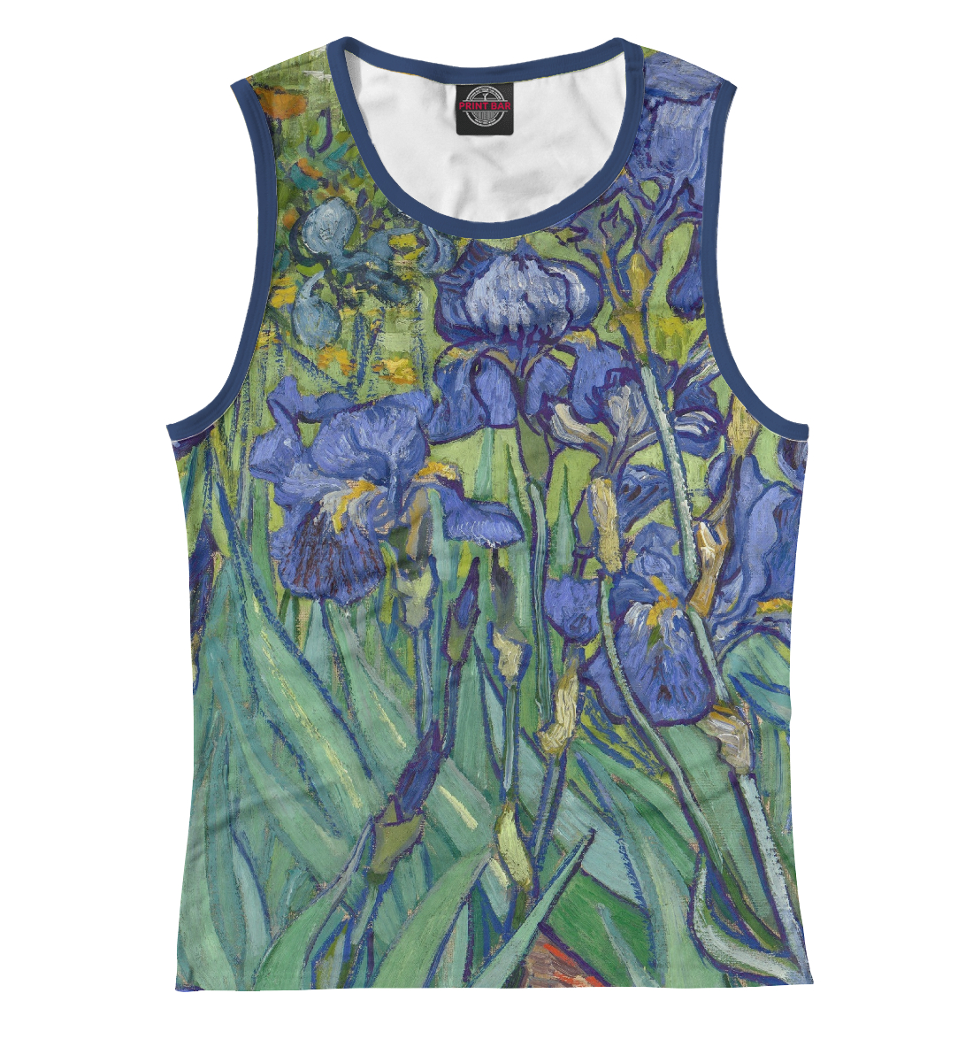 

Винсент ван Гог. Ирисы