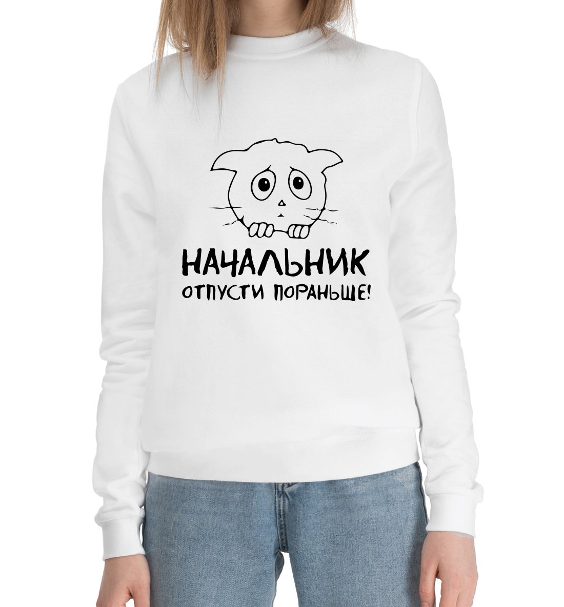 

Начальник отпусти пораньше