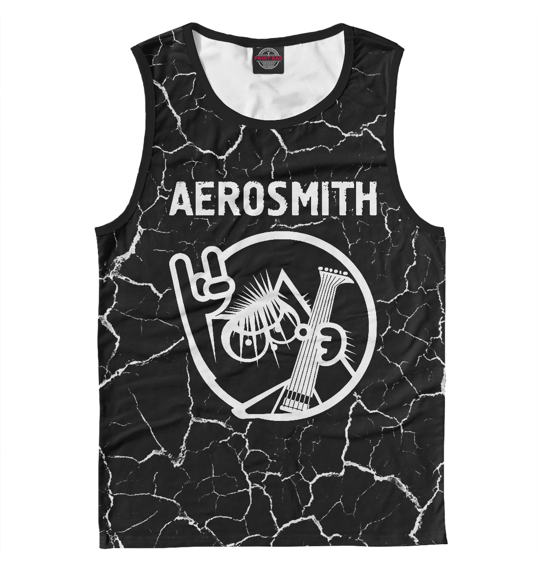 

Aerosmith / Кот