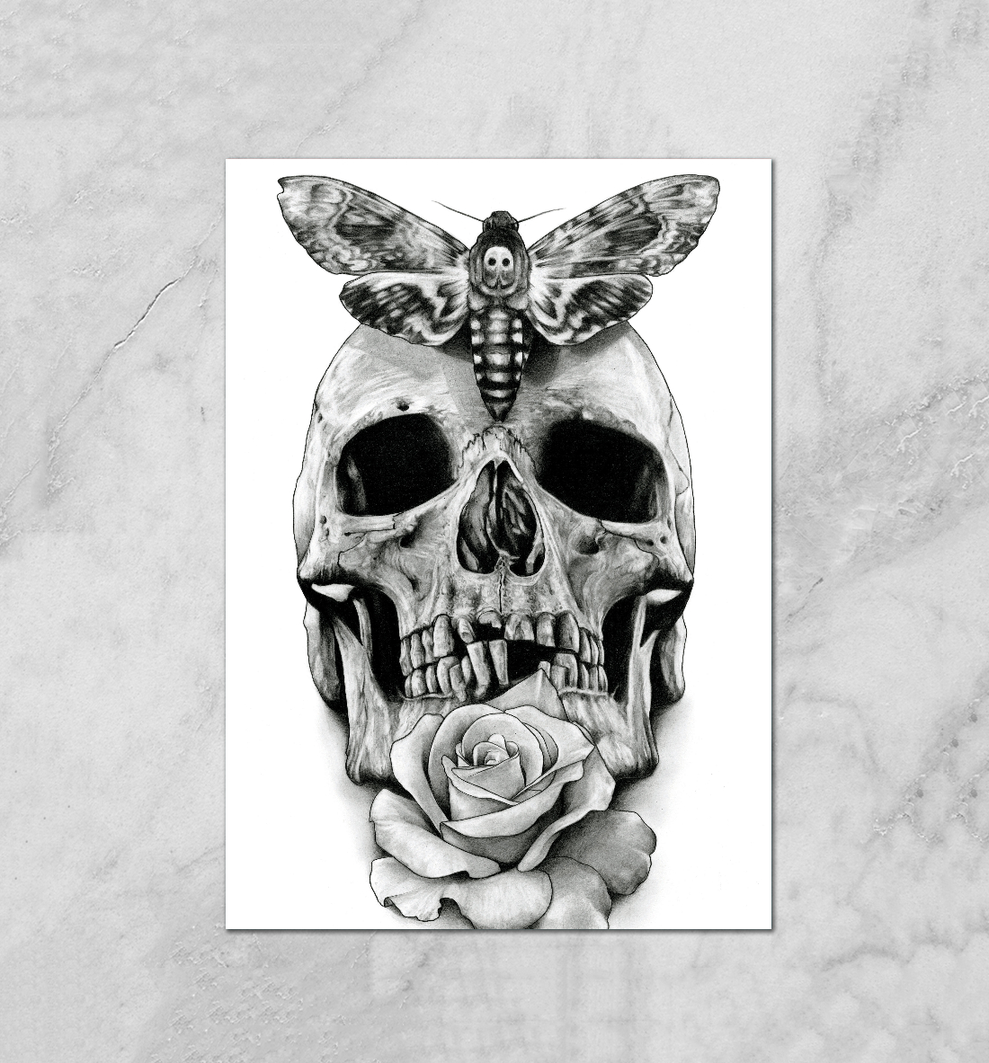 

Skull