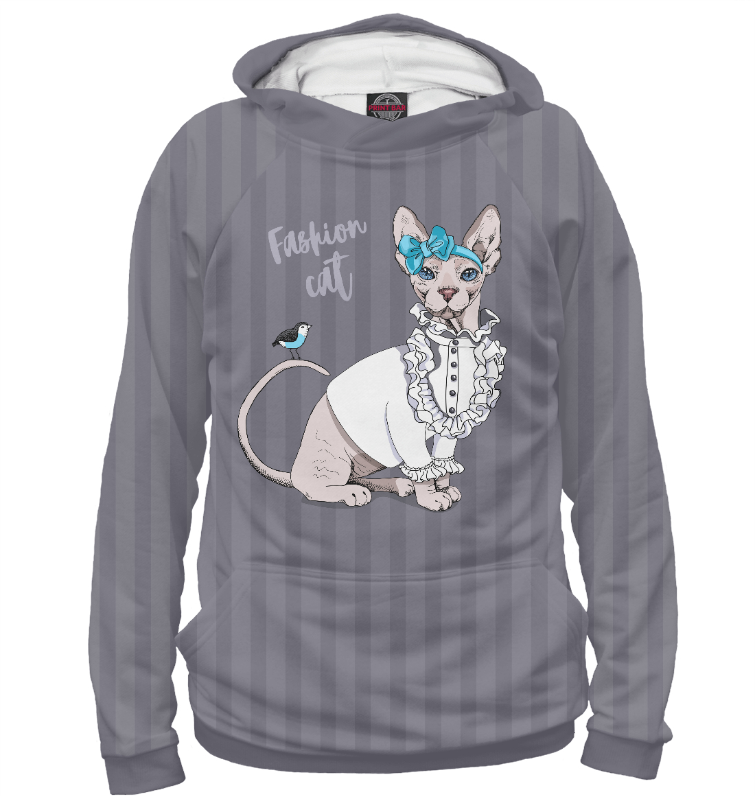 

Fashion cat
