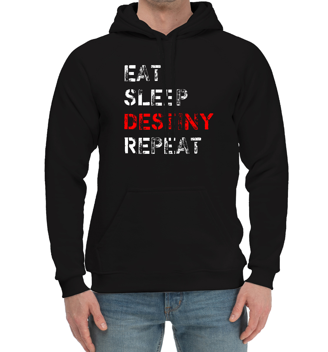 

Eat Sleep Destiny Repeat