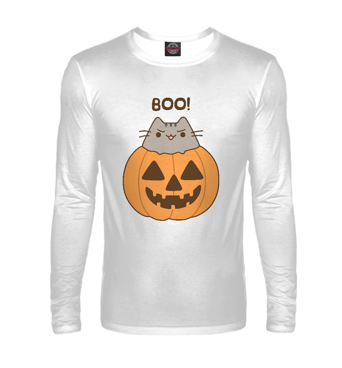 

Pusheen Boo!