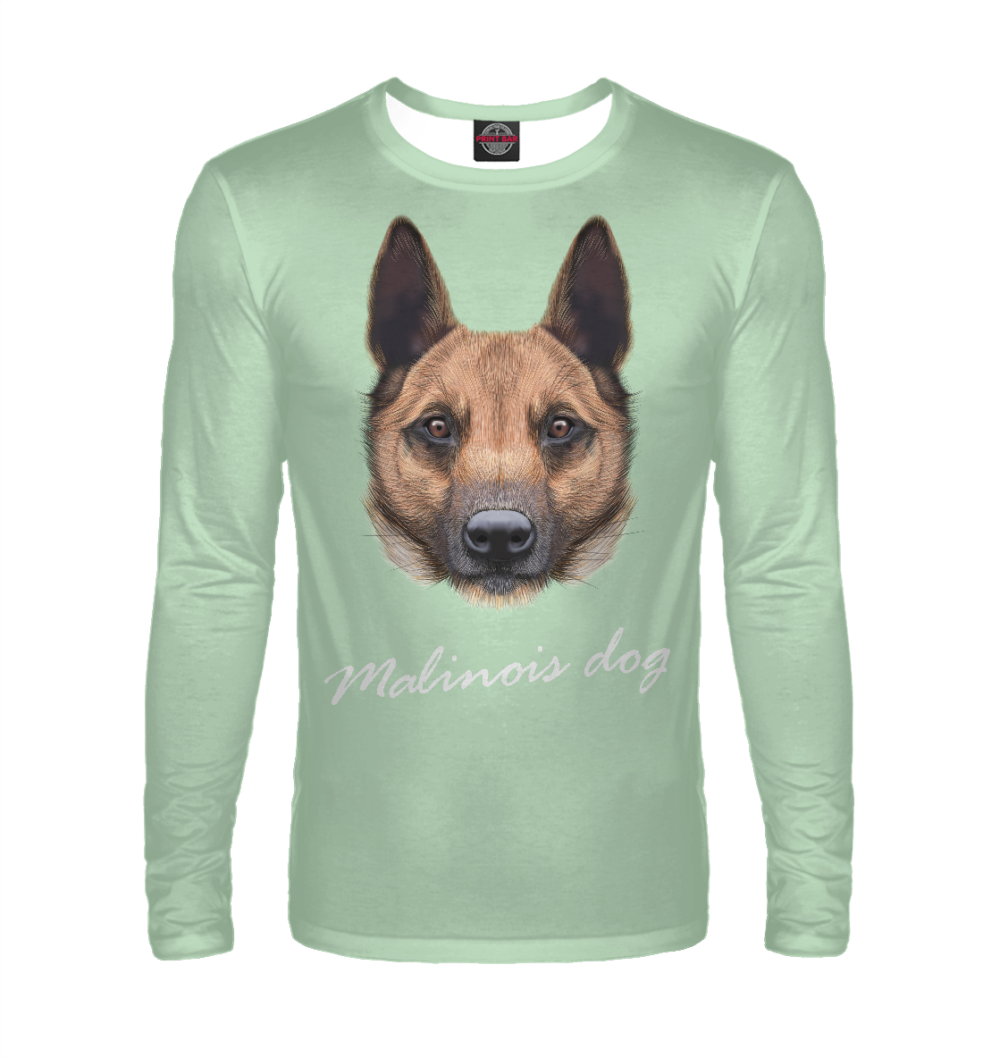 

Malinois dog
