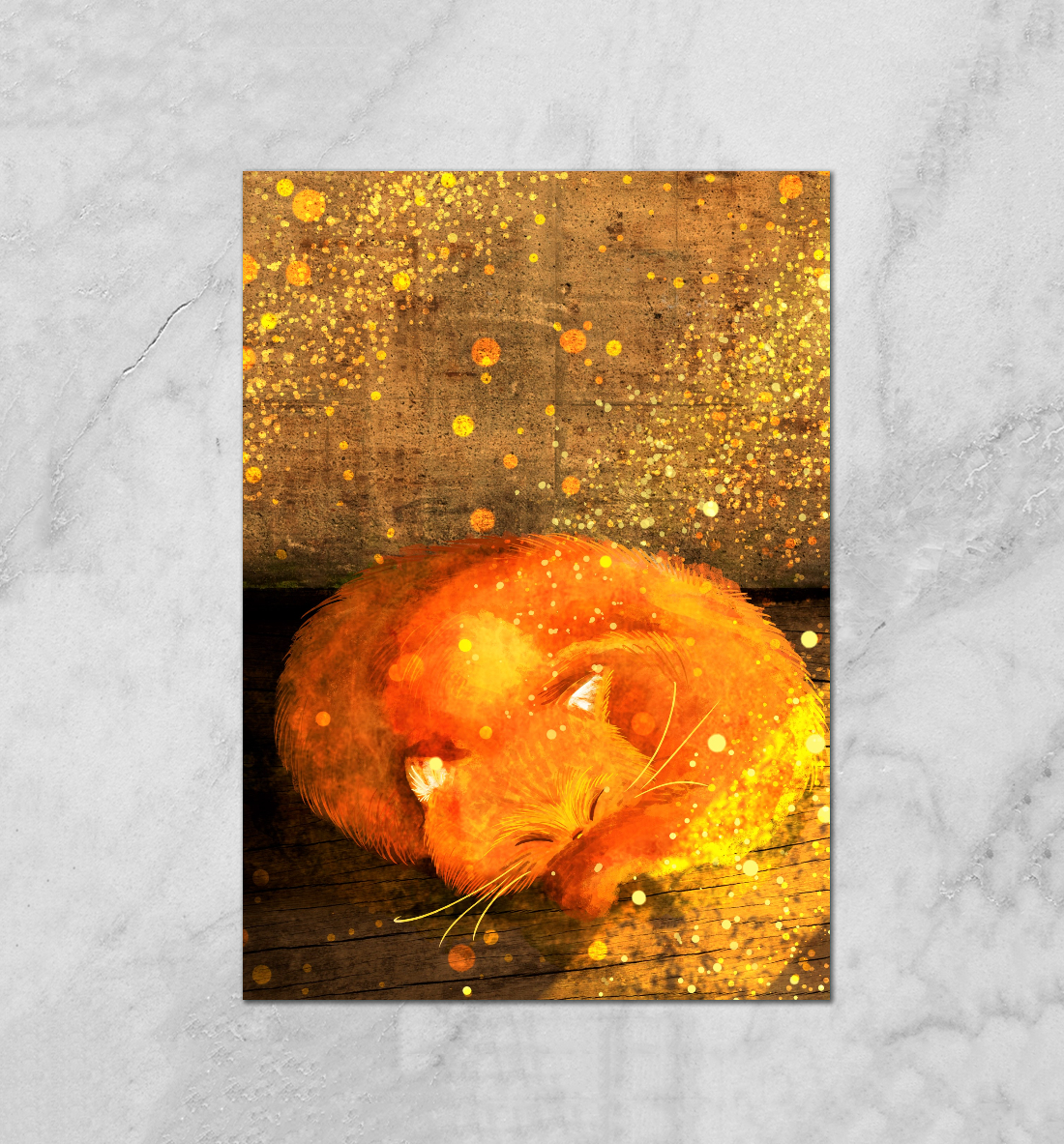 

Кот