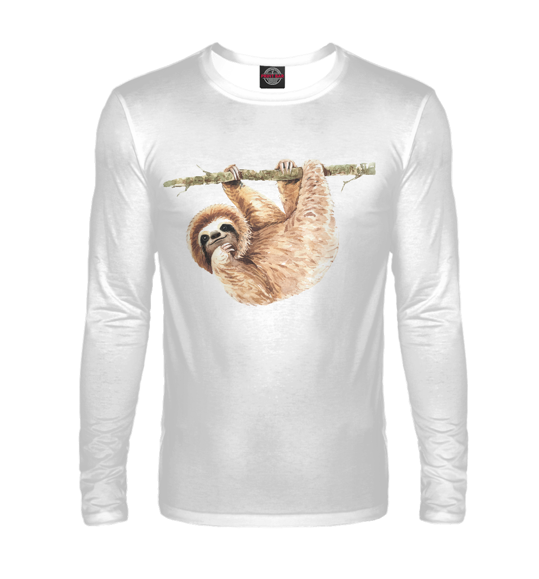 

Ленивец на ветке