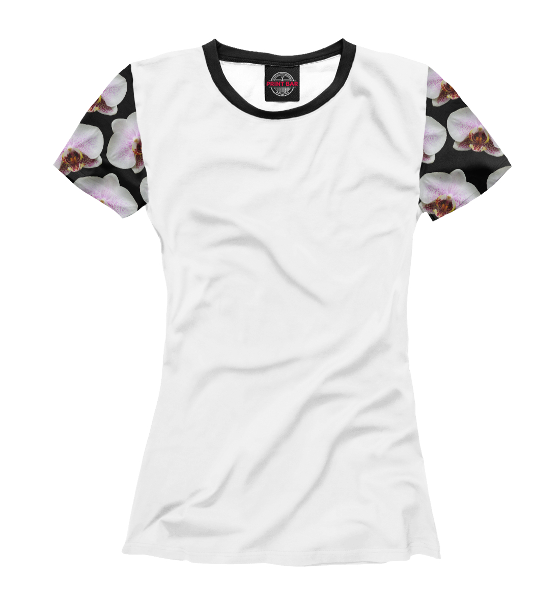 

Phalaenopsis (White)