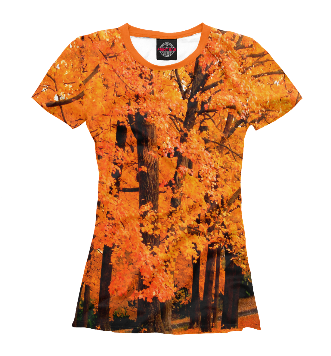 

Осенний лес