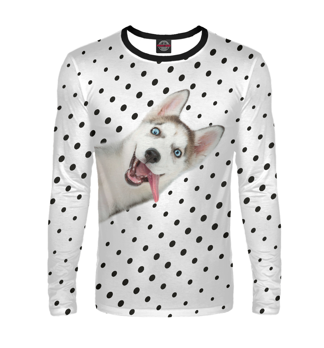 

Подглядывающий хаски